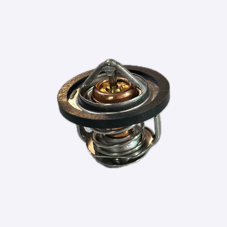 ترموستات MVM 110