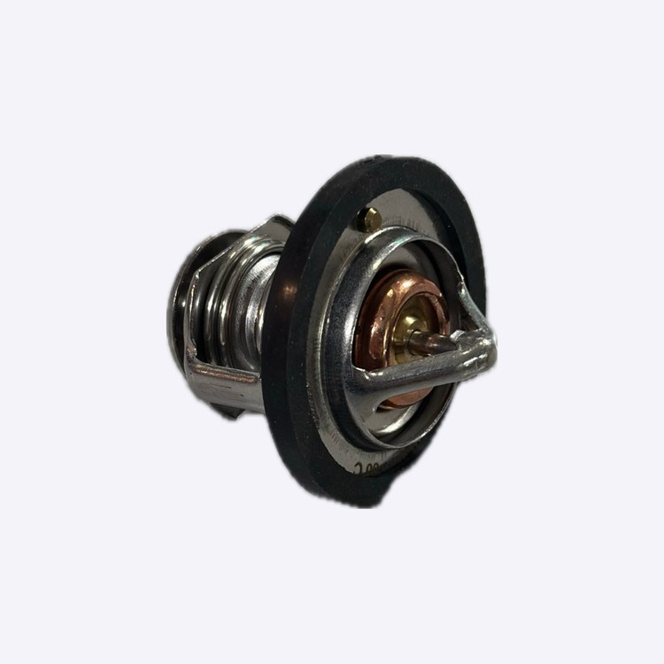 ترموستات MVM 110